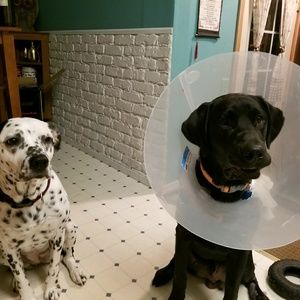 Meet your Posher, Madeline